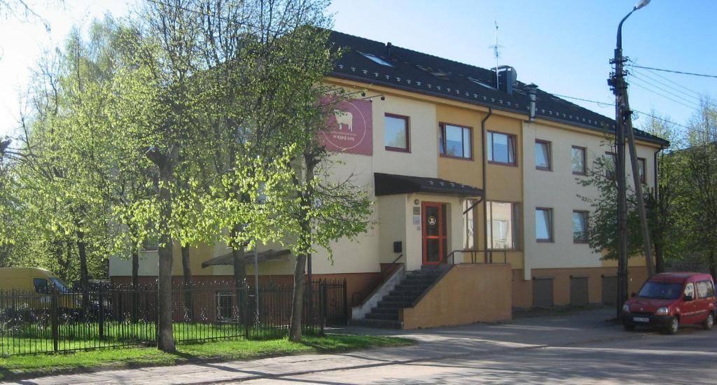 Auksine Avis Wilna