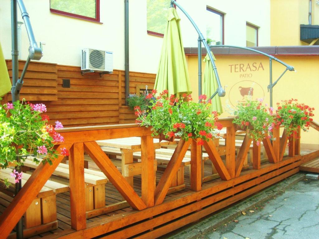 Auksine Avis